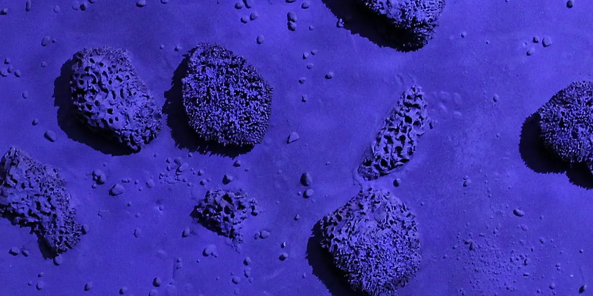 Yves Klein's work 'RE 49, Relief Sponge Bleu' is exhibited at Sotheby's on June 11, 2010 in London, England. (Photo by Peter Macdiarmid/Getty Images) (detail)