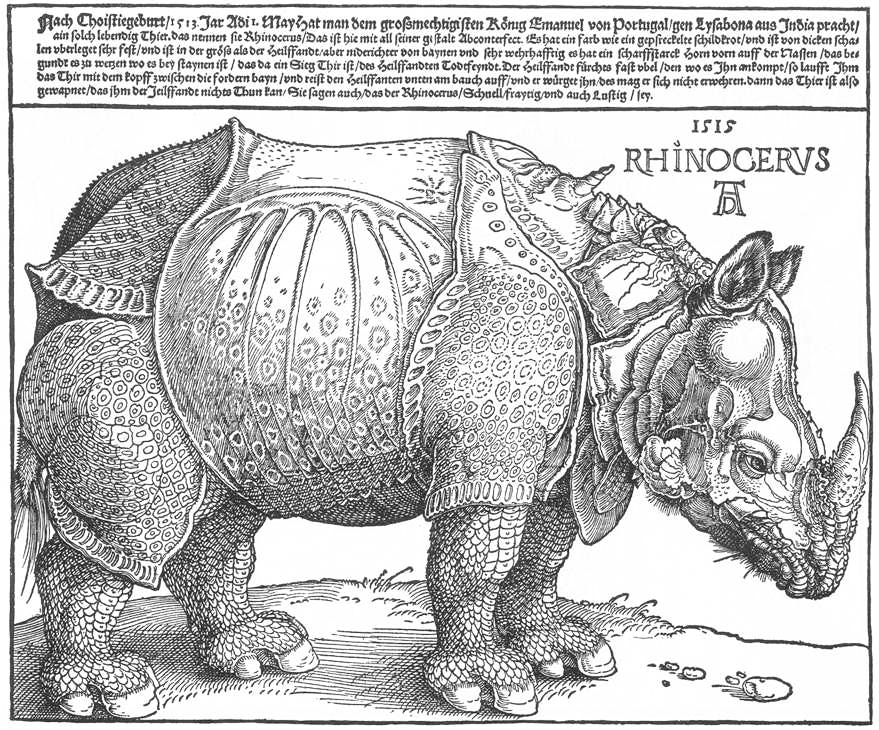 Wie "Betende Hände" und "Feldhase" gehört auch der berühmte Holzschnitt "Rhinocerus" von 1515 zu den Arbeiten Albrecht Dürers, die wiederholt aufgegriffen wurden. Foto gemeinfrei