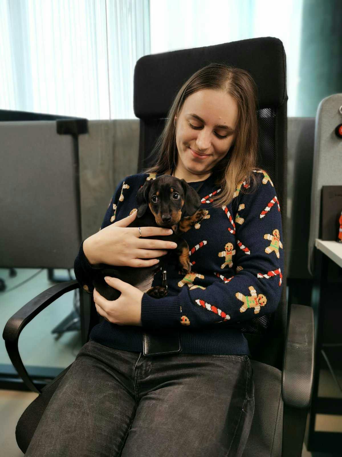 Holding a puppy Holding a puppy