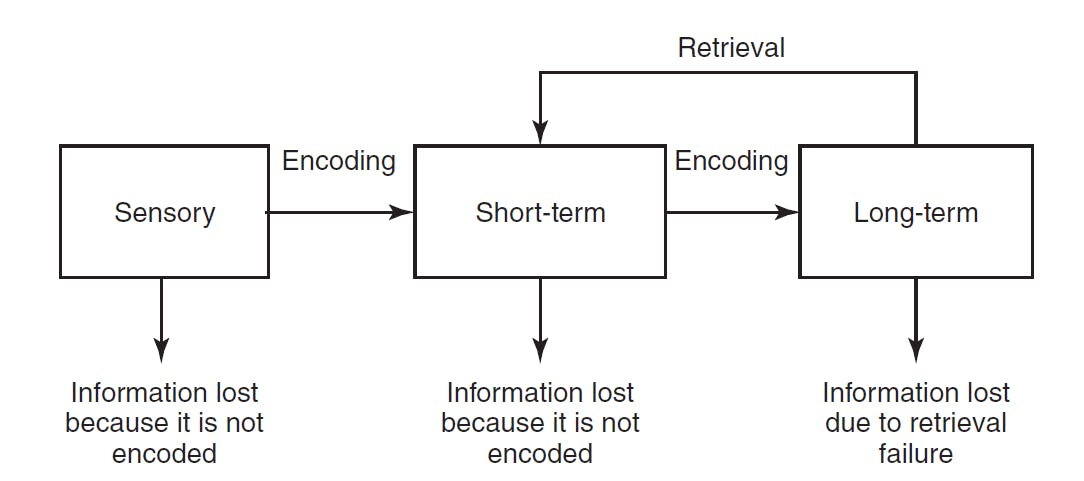 Atkinson and Shiffrin three-box/information-processing model for the AP Psychology exam.