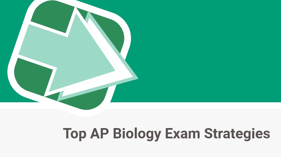 Top AP Biology Exam Strategies