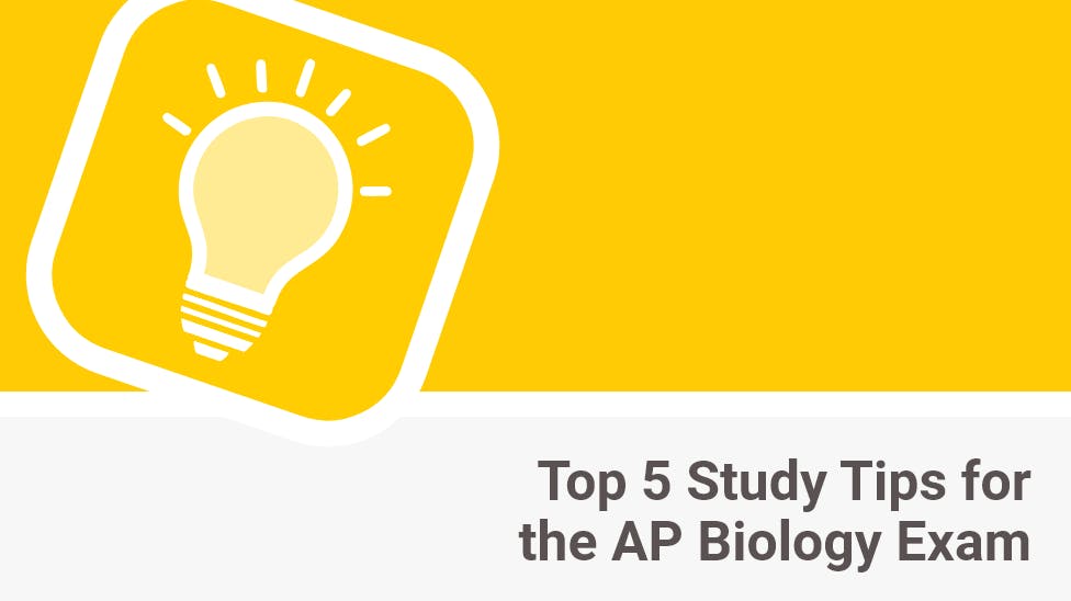 Top 5 Study Tips for the AP Biology Exam