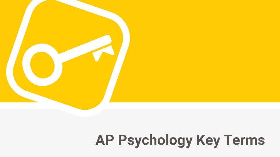 AP Psychology Key Terms