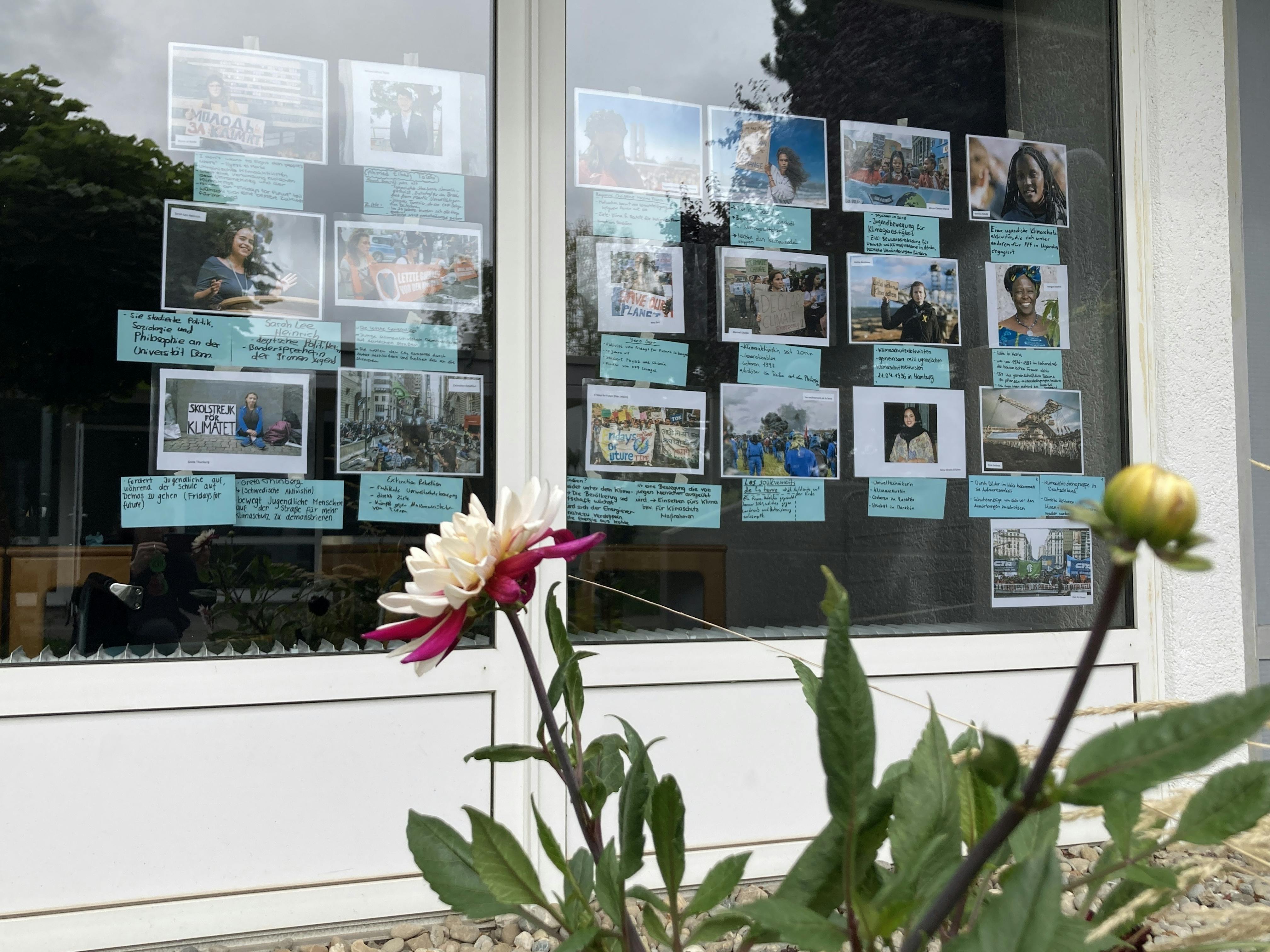 Auf dem Foto sieht man das Fenster eines Seminarraumes von außen. Im Vordergrund sind einige Blumen. Im Fenster kleben viele Fotos von unterschiedlichen Menschen und darunter blaue beschriebene Zettel. Schaut man genauer hin sind es Klimaaktivist:innen aus der ganzen Welt und BEschreibungen von ihnen.