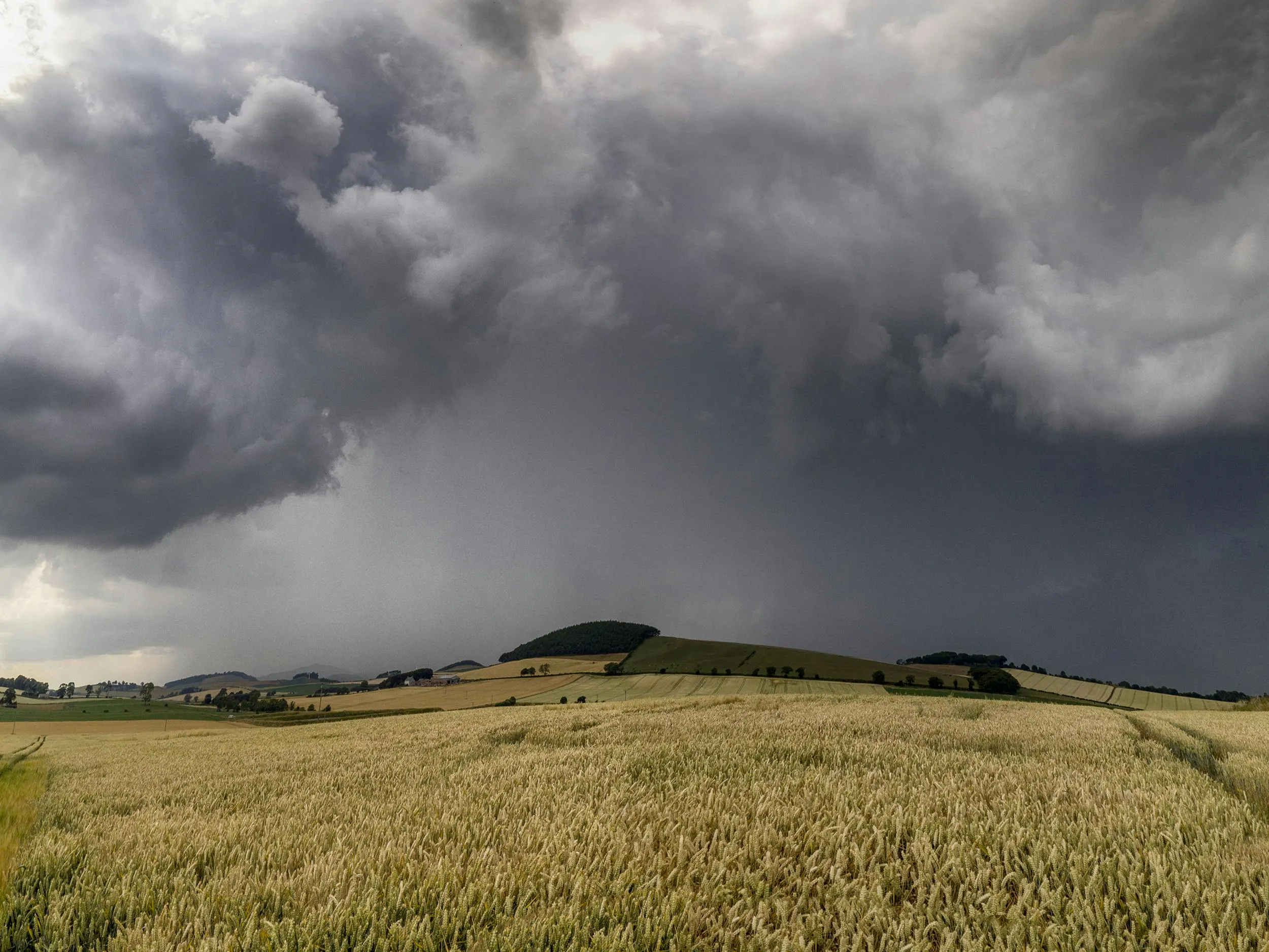 Hier ist ein Foto von einem Hügel zu sehen. Im Vordergrund ist ein Getreidefeld. Auf der Kuppe des Hügels wachsen Bäume. Der Himmel ist sehr dunkel und es sind bedrohliche Wolken zu sehen. Oben auf dem Hügel scheint es zu regnen. 