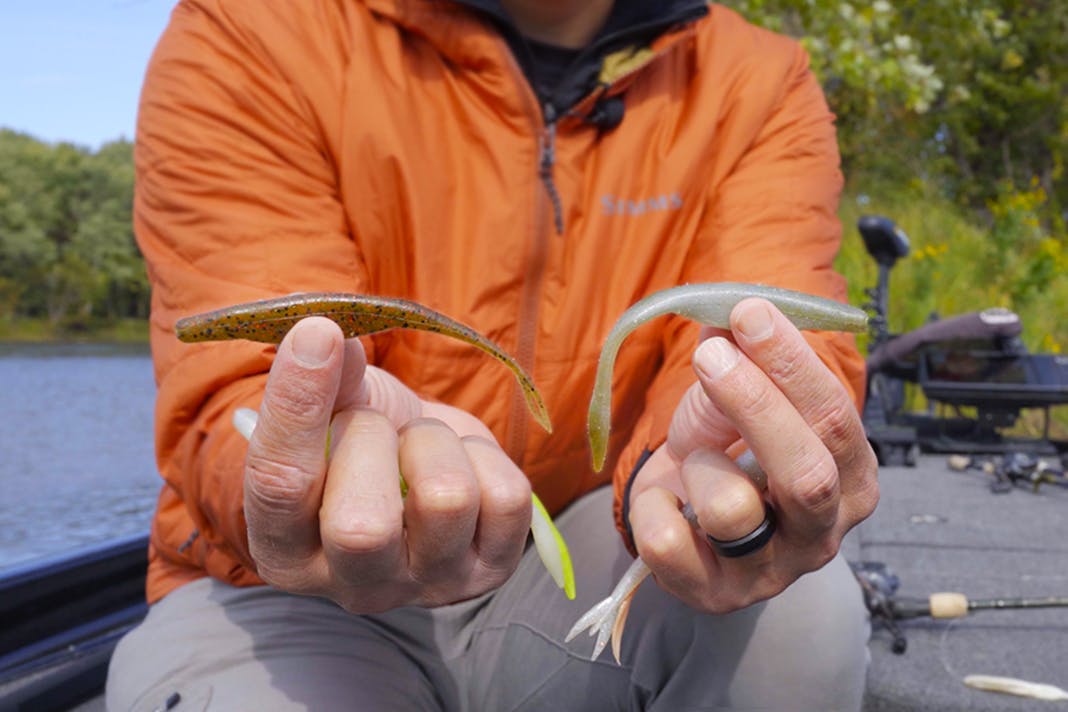 How to Choose a Soft Jerkbait with Bob Downey