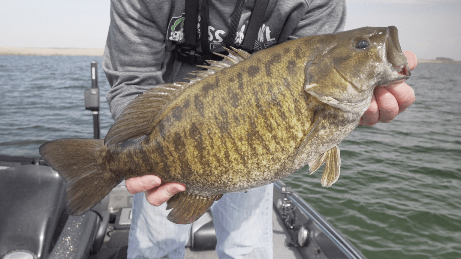 Dropshotting For Giant Smallmouth