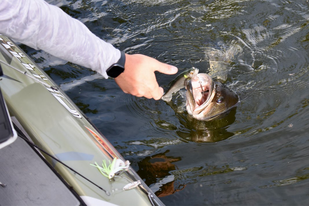 How to Fish a Large Swimbait with Patrick Walters | Bass Utopia