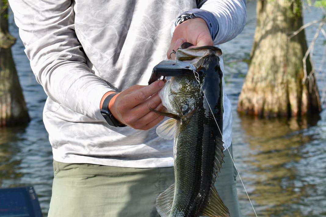 How to Fish a Glide Bait with Patrick Walters