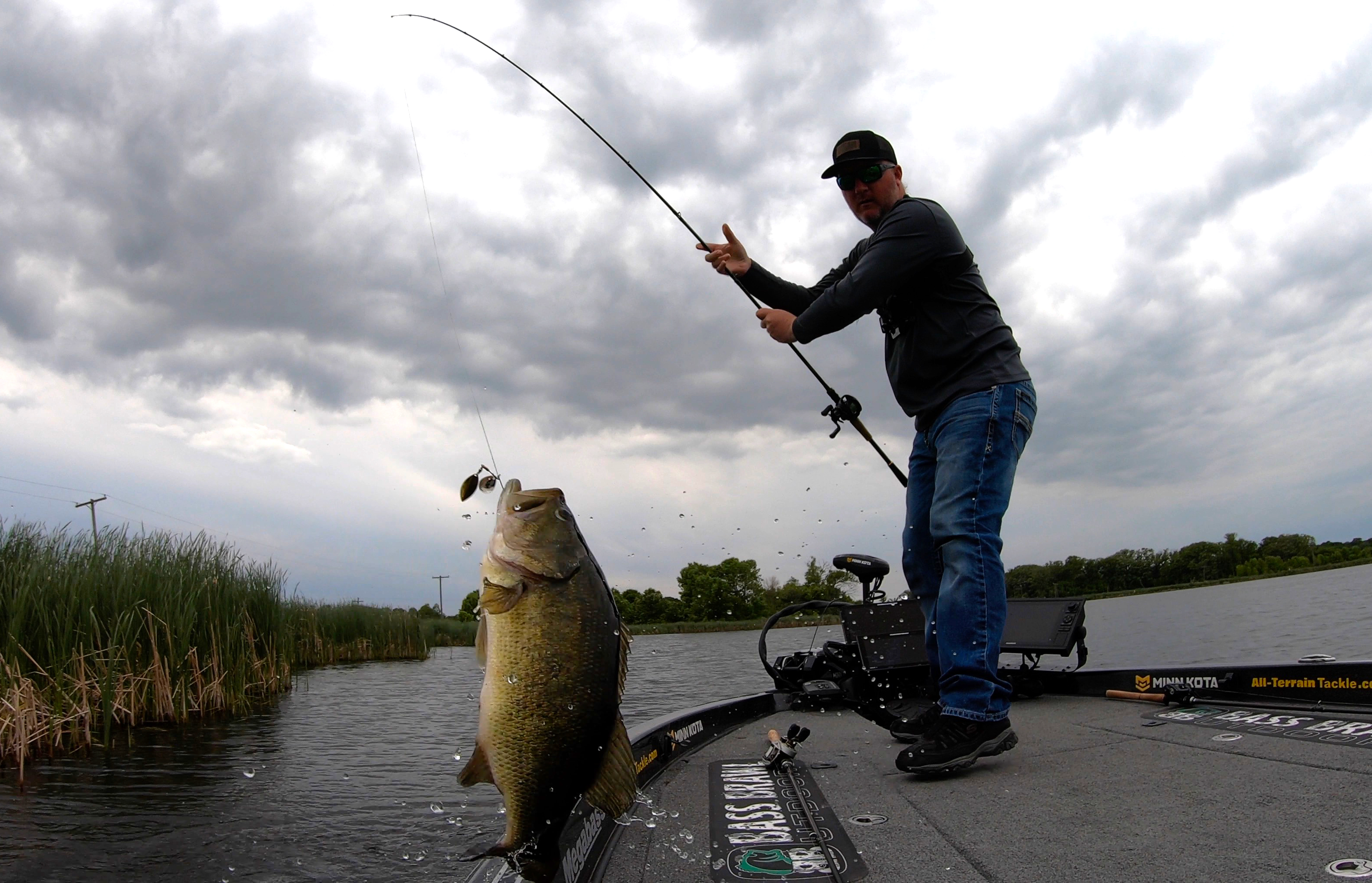 Triggering a Post Spawn Bite with Bassman Spinnerbaits