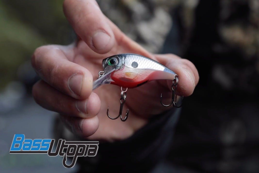 Rapala BX Brat Breakdown