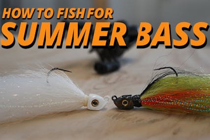 How to Fish for Summer Bass with Brad Leuthner