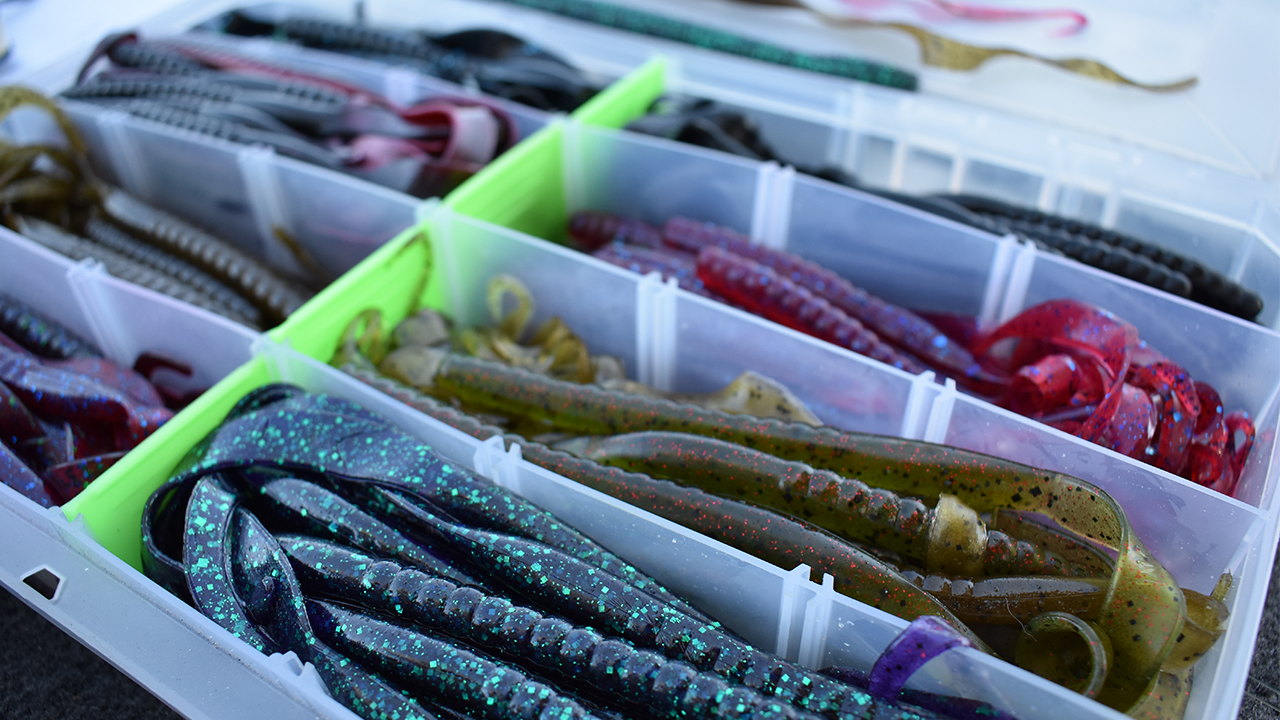 How to Choose the Right Texas Rigged Worm