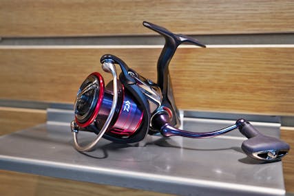 Best on a Budget: Daiwa Fuego