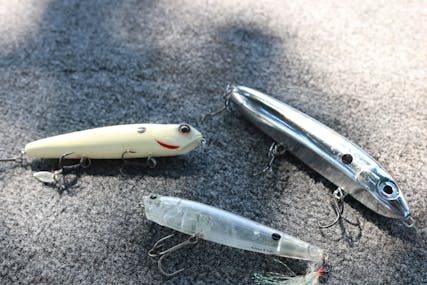 How to Choose the Right Topwater Walking Bait