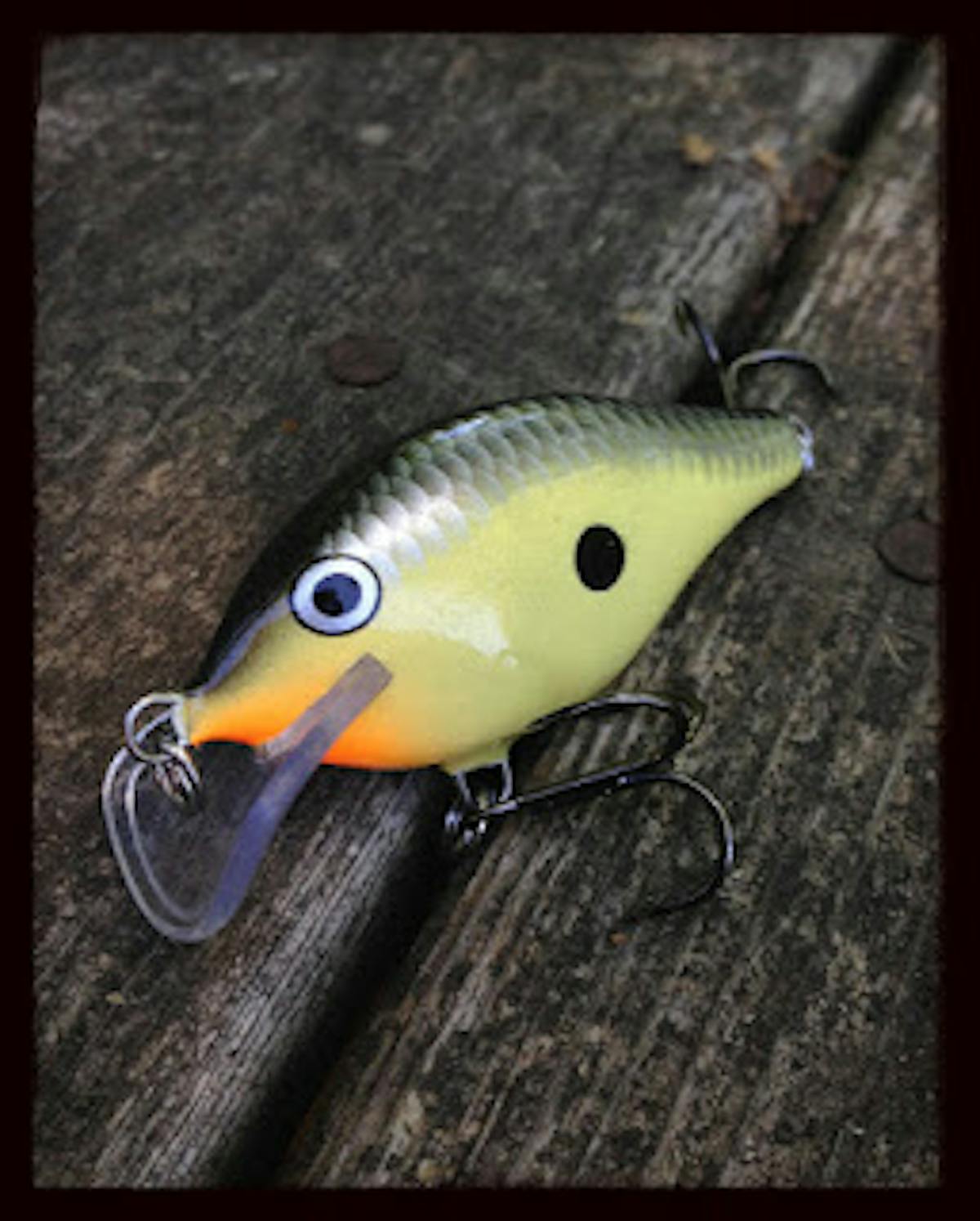 Rapala Scatter Rap Review