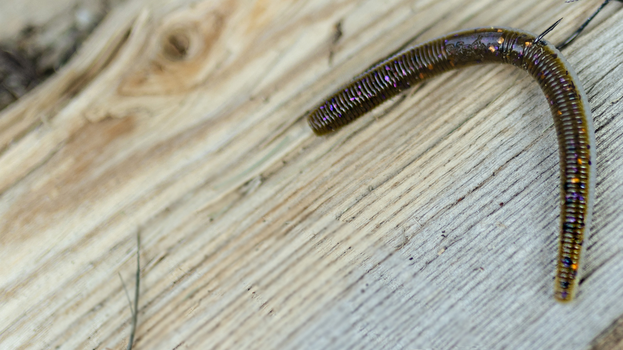 X Zone True Center Stick Tackle Breakdown