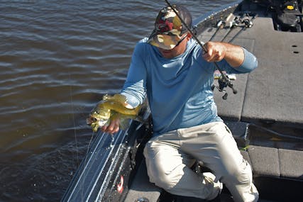 How to Locate Fall Transition Fish on the Mississippi River