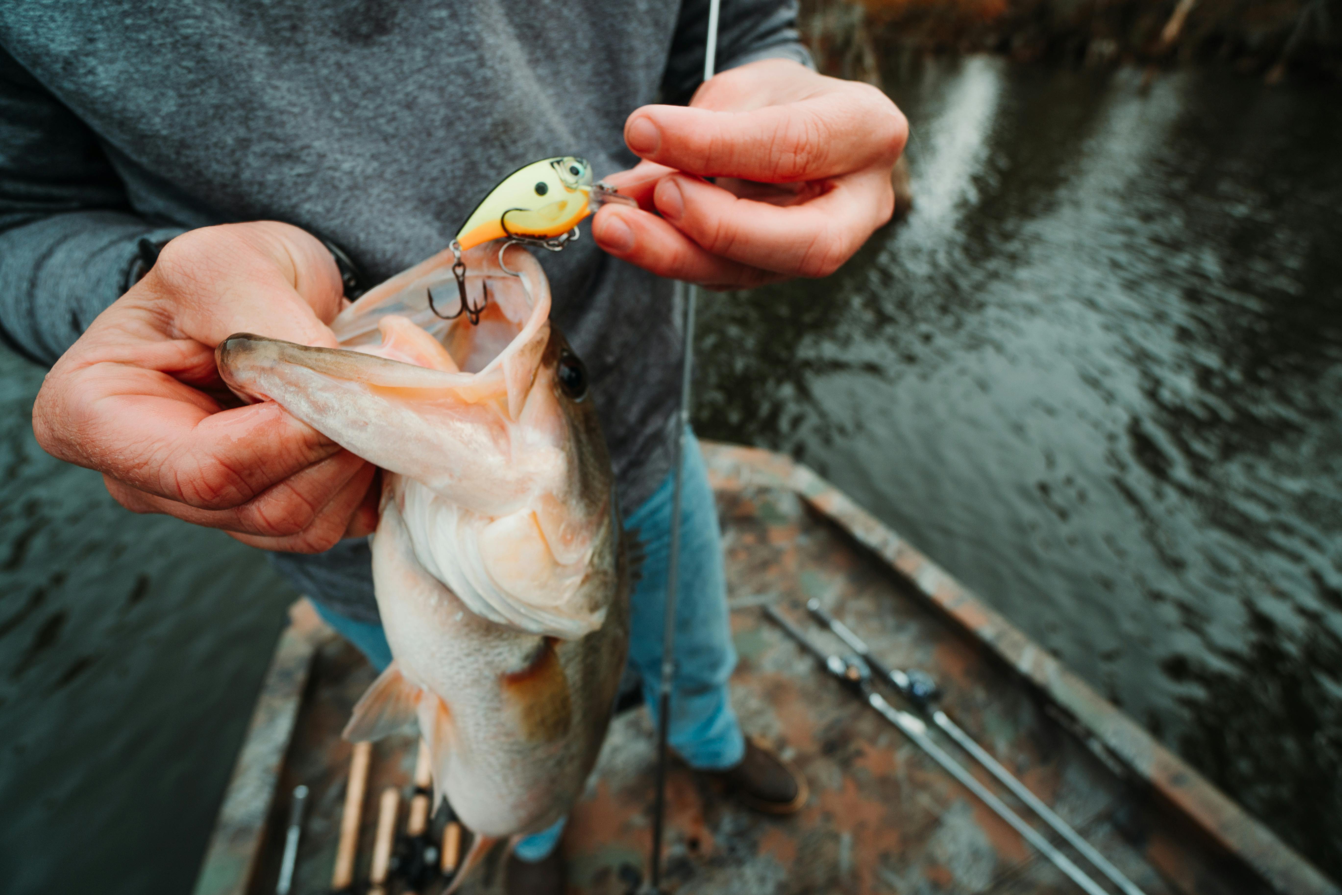 Where to Throw Squarebills in the Fall