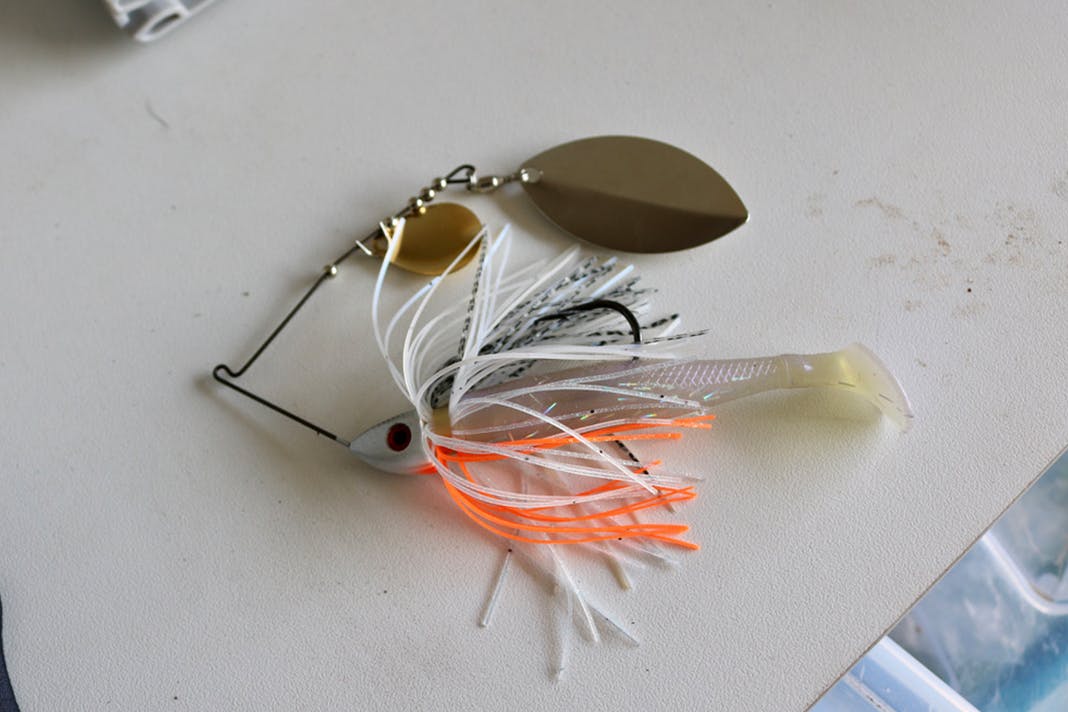 How to Rig Spinner Baits