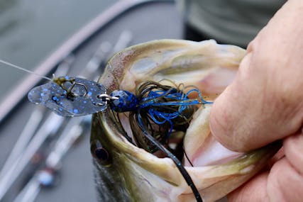 How to Fish a Chatterbait - Brad Leuthner