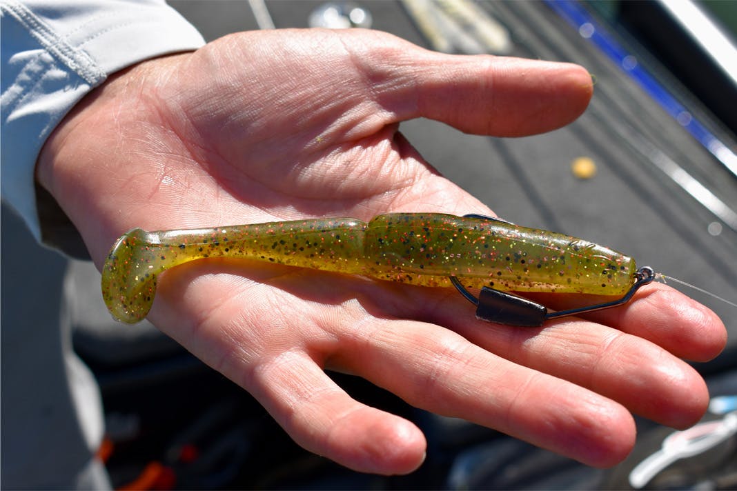 How to Rig a Large Weedless Swimbait