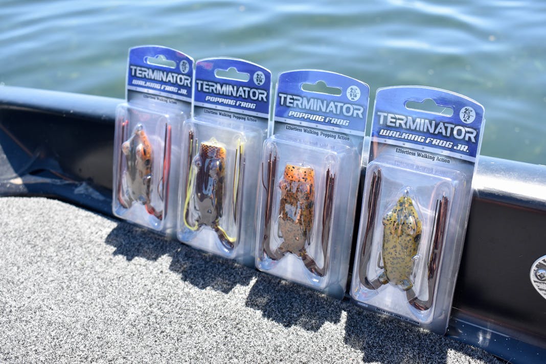 New Terminator Frog Colors with Bob Downey