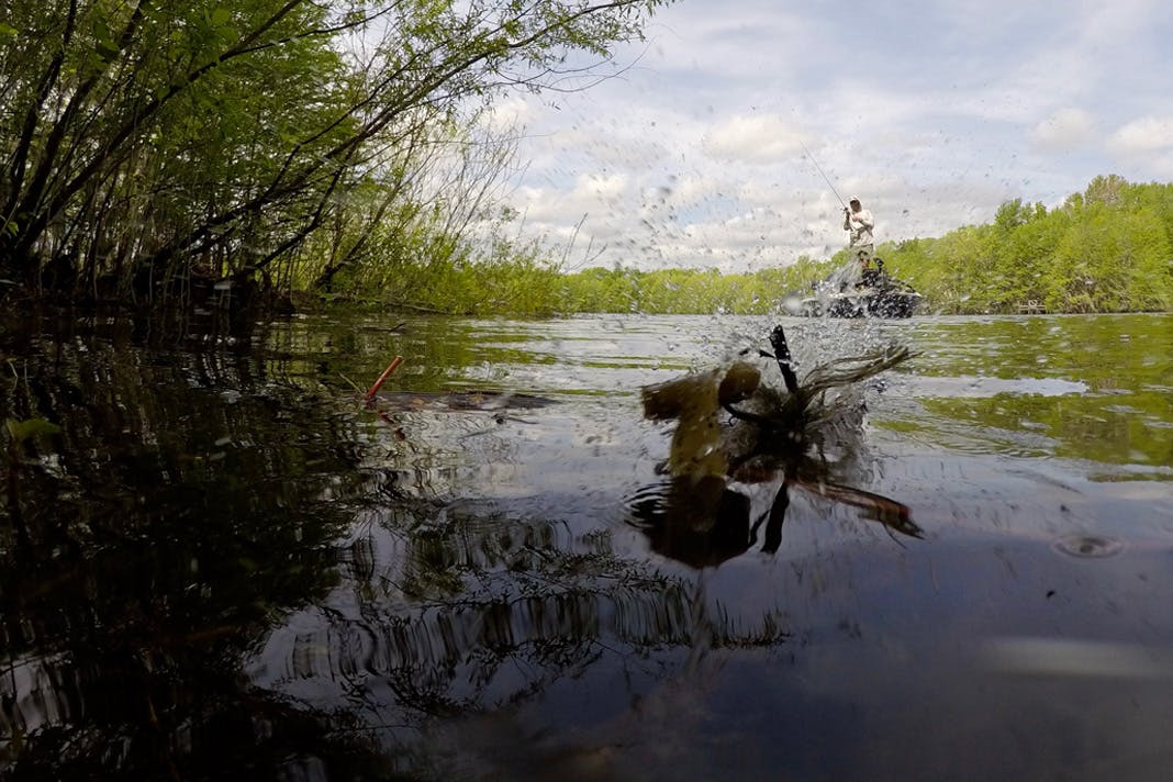 How to Skip a Bait with Patrick Walters