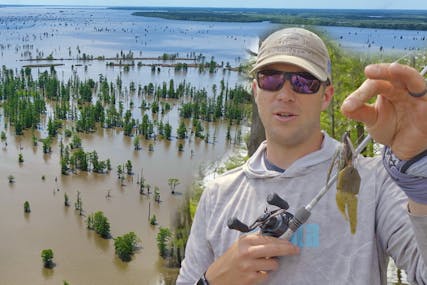How to Fish a Jig in Trees and Flooded Timber with Patrick Walters