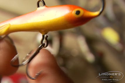 Multi-Species Action with the Rapala Jigging Rap