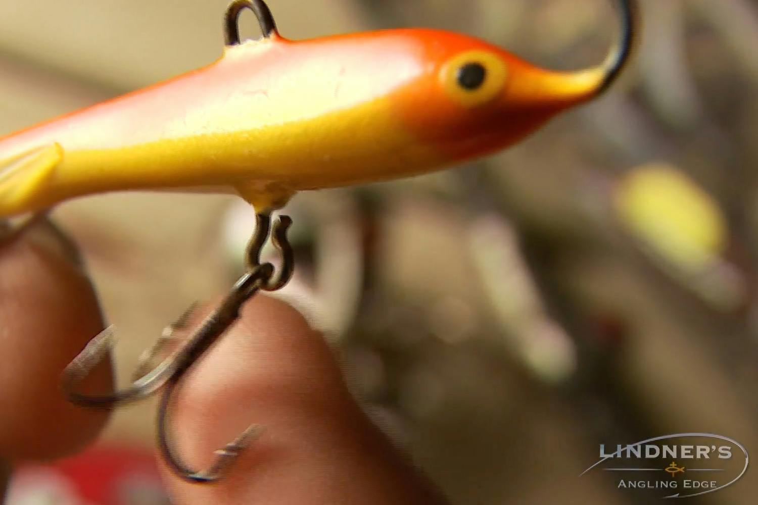 Multi-Species Action with the Rapala Jigging Rap