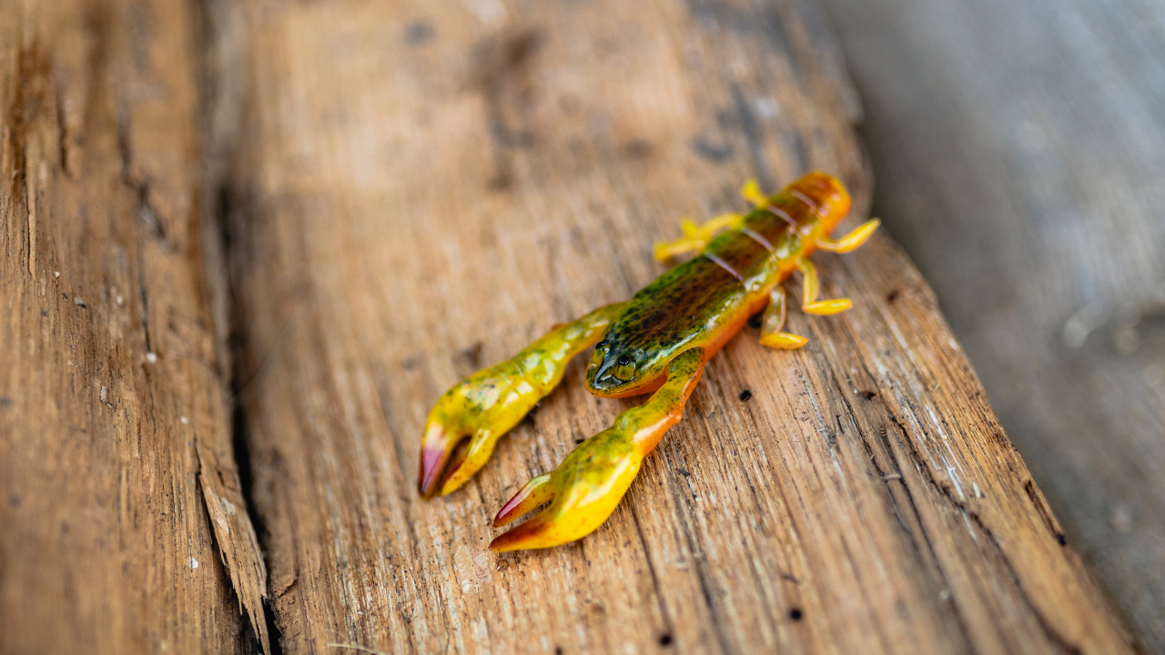 Berkley Powerbait The Champ Craw Tackle Breakdown