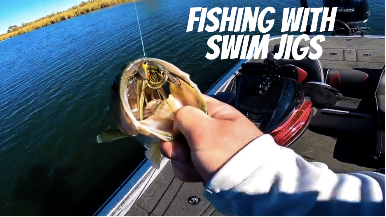 Fishing with the 6th Sense Divine Swim Jig