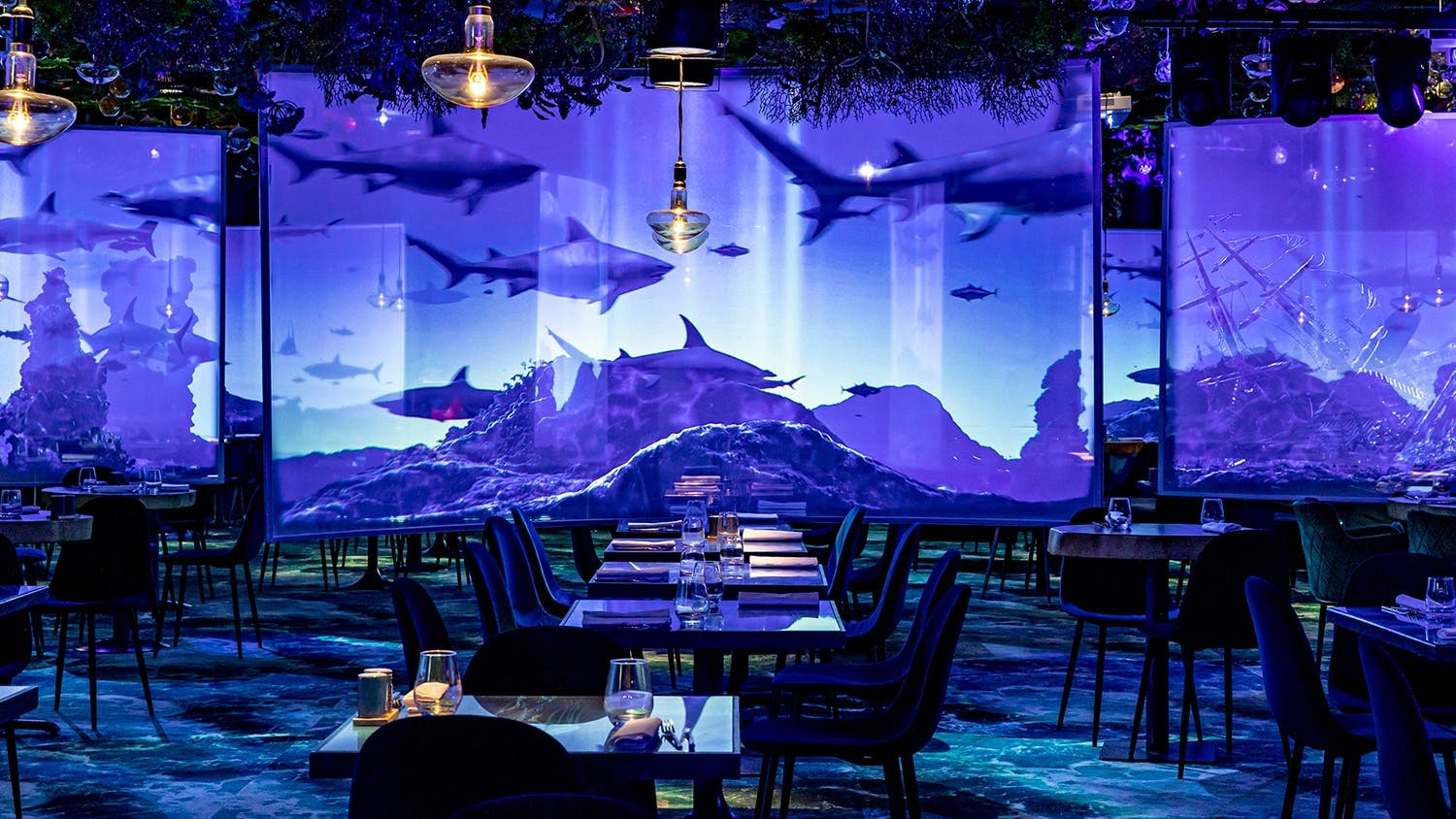 Restaurant Immersif Paris : Under the Sea