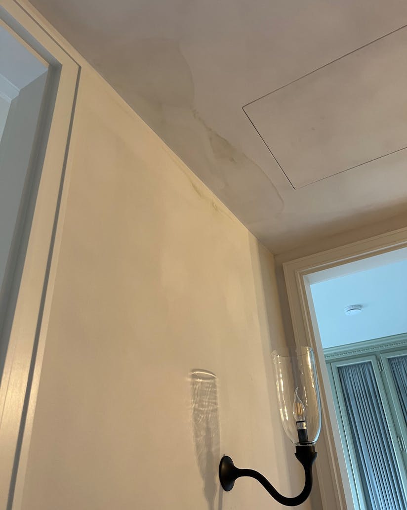 Water stains on lime wash finish after burst water pipe