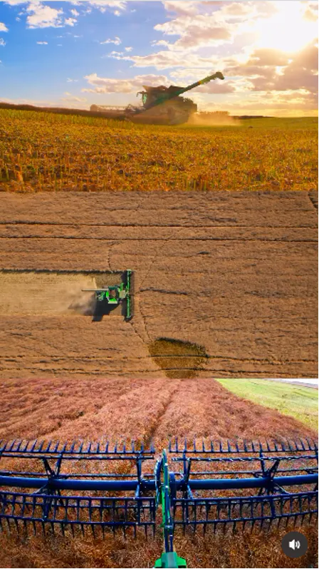 Screenshot of a reel about Jay Bindig
