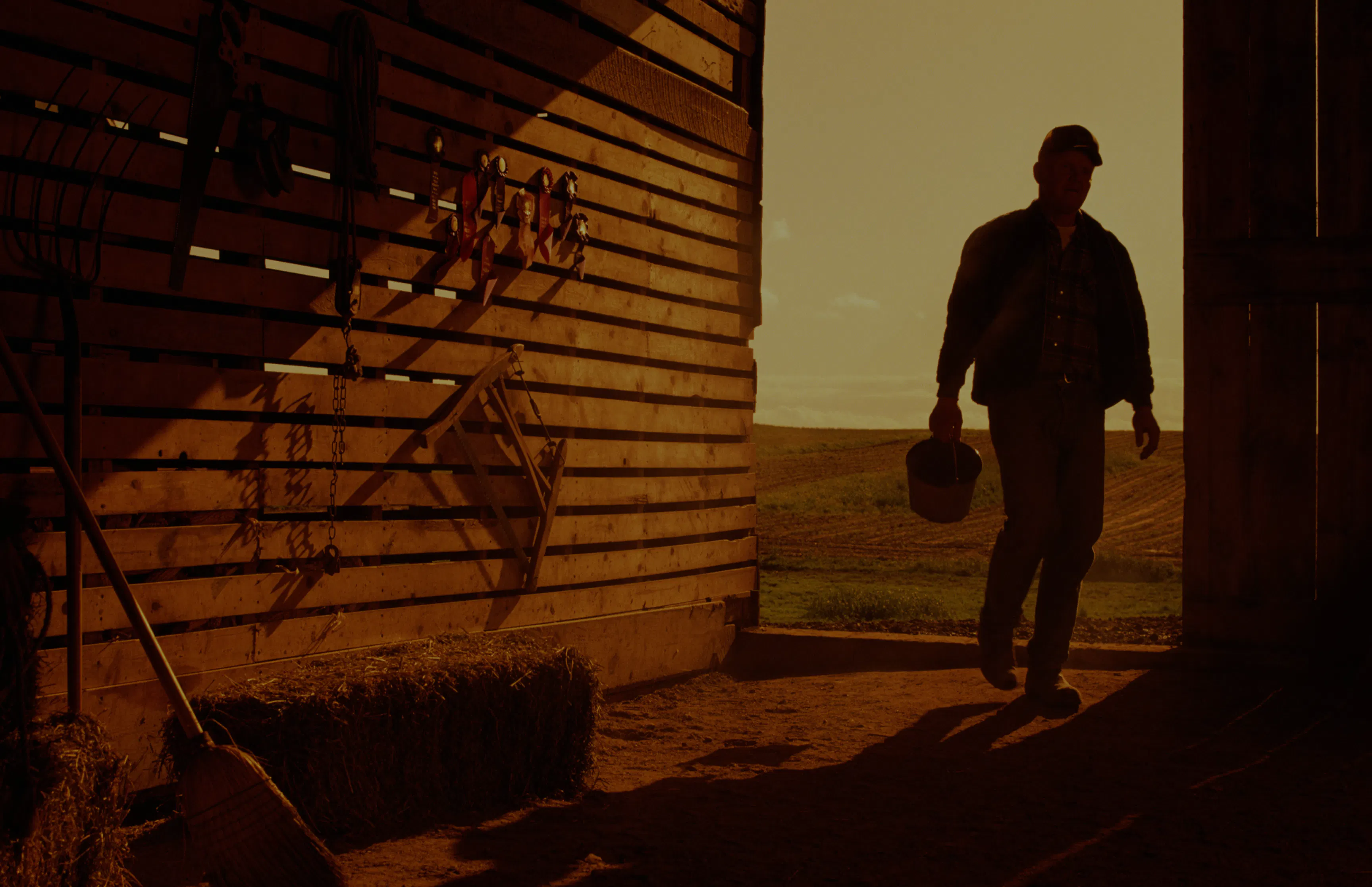 A person walking through a barn doorway holding a bucket.