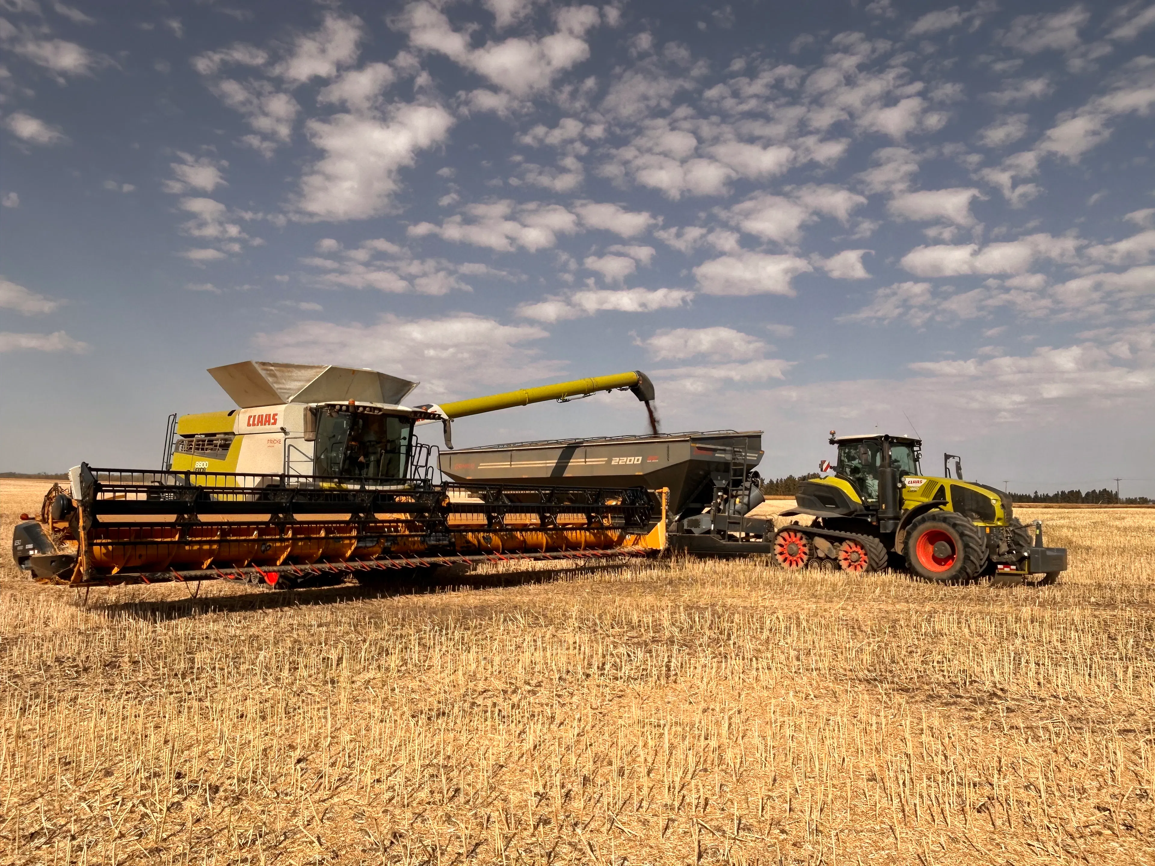 A CLAAS combine harvester unloading grain into a cart pulled by a CLAAS tractor during harvest on a golden stubble field under a blue sky with scattered clouds.