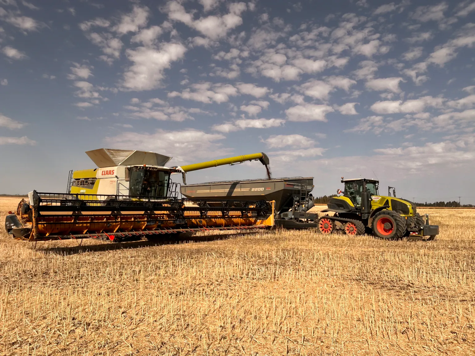 A CLAAS combine harvester unloading grain into a cart pulled by a CLAAS tractor during harvest on a golden stubble field under a blue sky with scattered clouds.