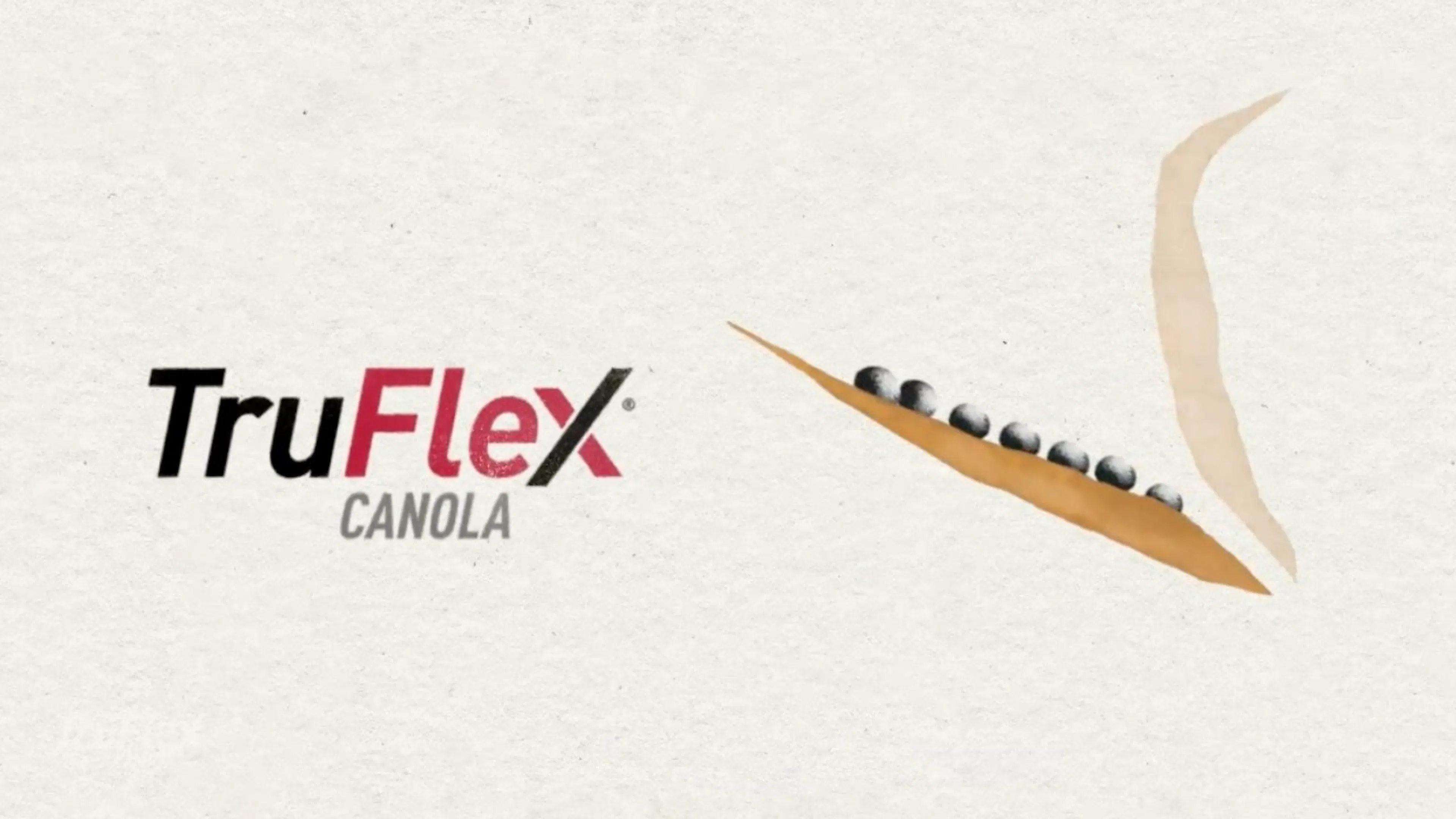 TruFlex® Canola Flexibility & Weed Control | Bayer Canada