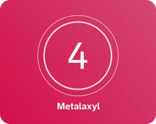 A pink background with a white number 4 centered inside two concentric circles, and the word ' Metalaxyl' written below in white text