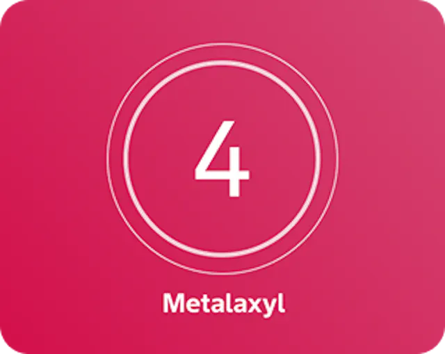 A pink background with a white number 4 centered inside two concentric circles, and the word ' Metalaxyl' written below in white text