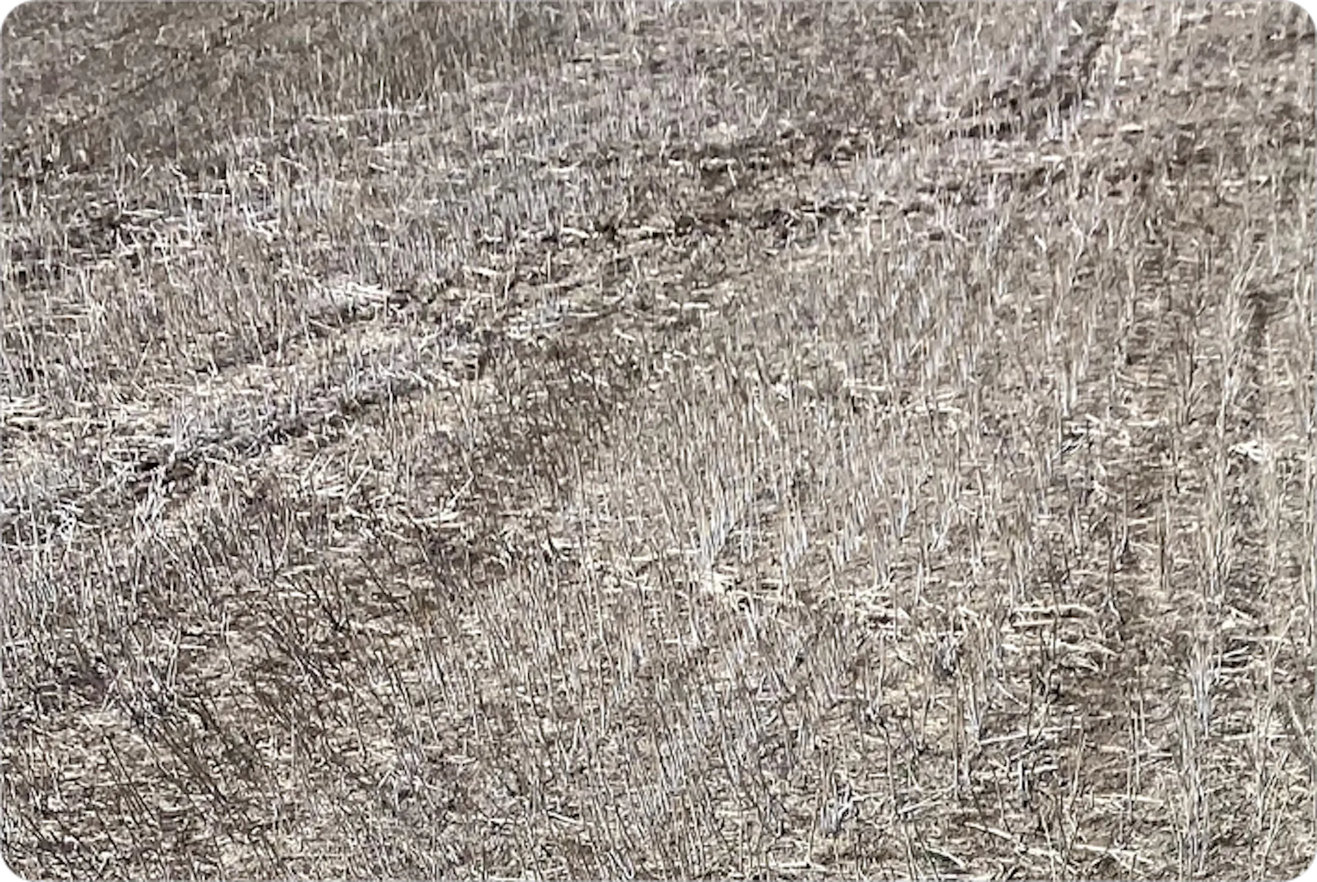  A small plot of land with no identifiable weeds visible, only brown dry soil.