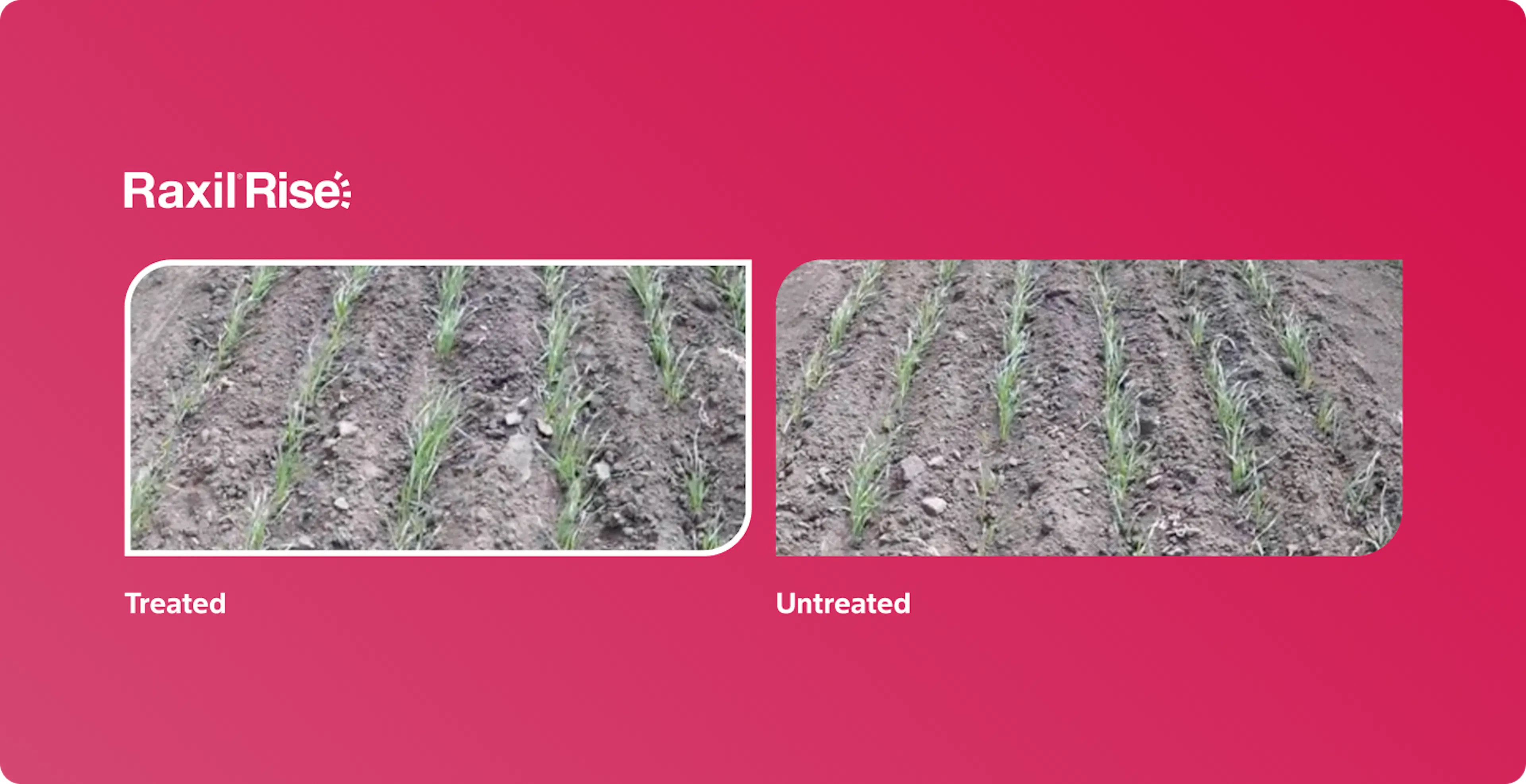 Raxil Rise video overlay