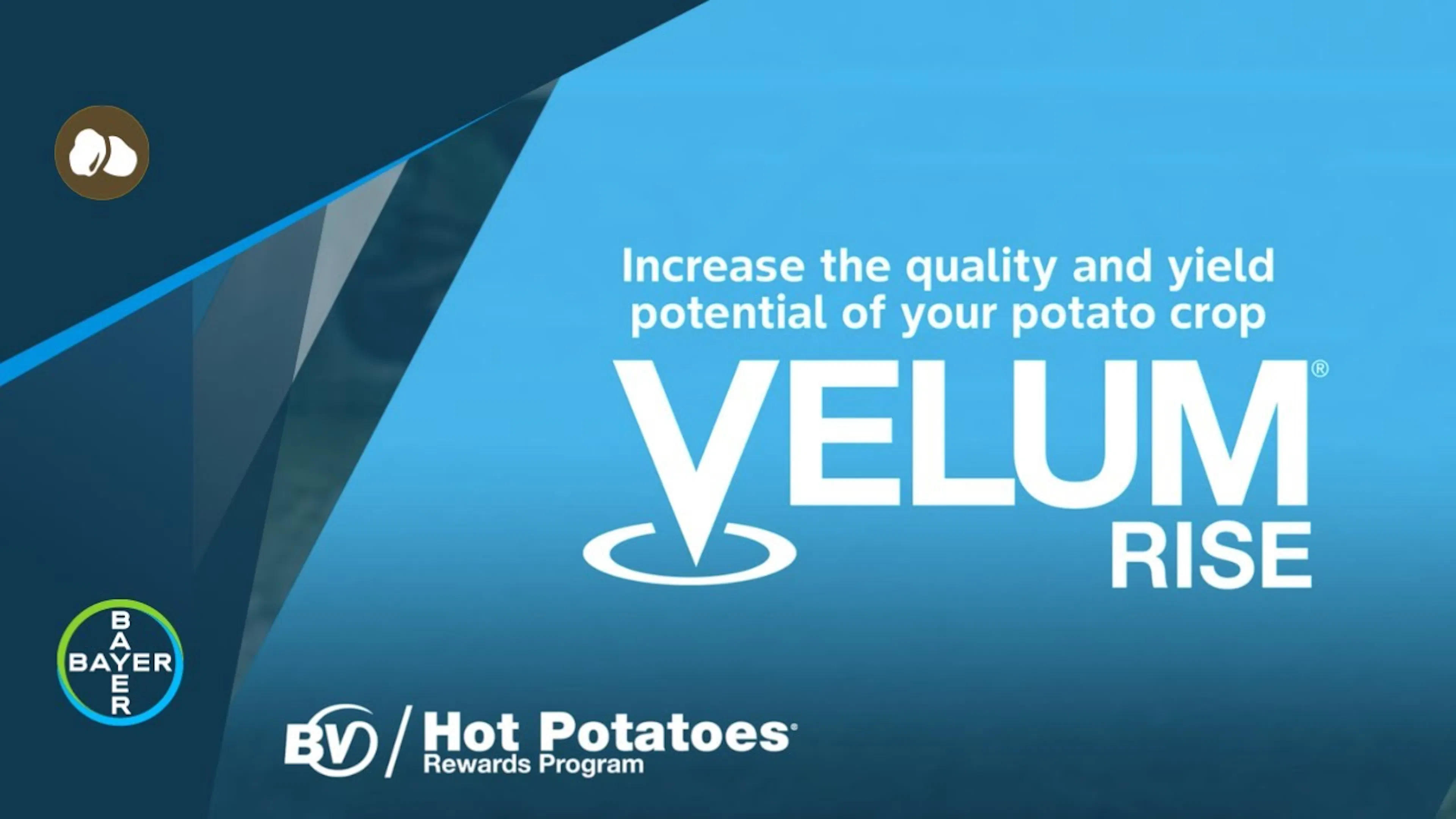 Bayer Potato Solutions
