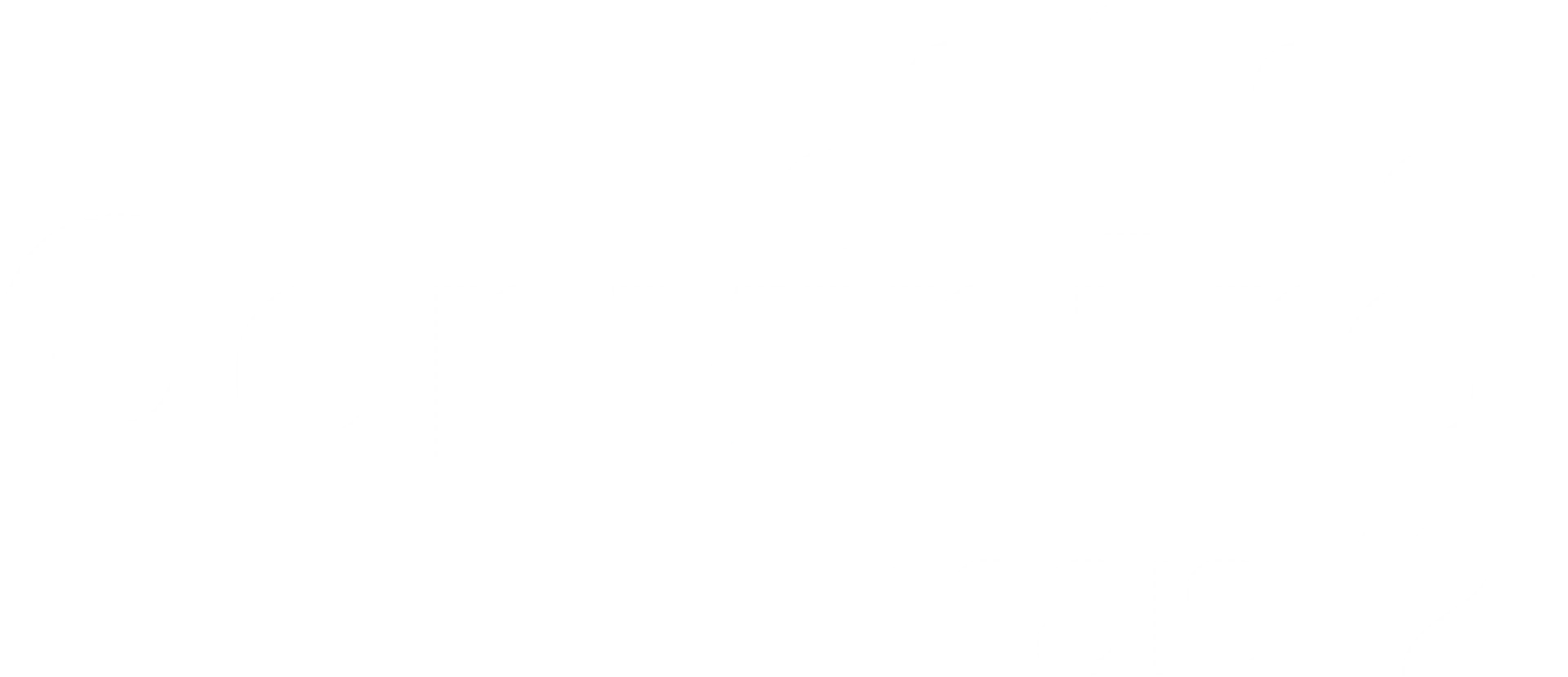 Logo Convintro maïs 12