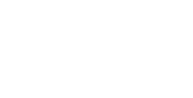 Logo Laudis
