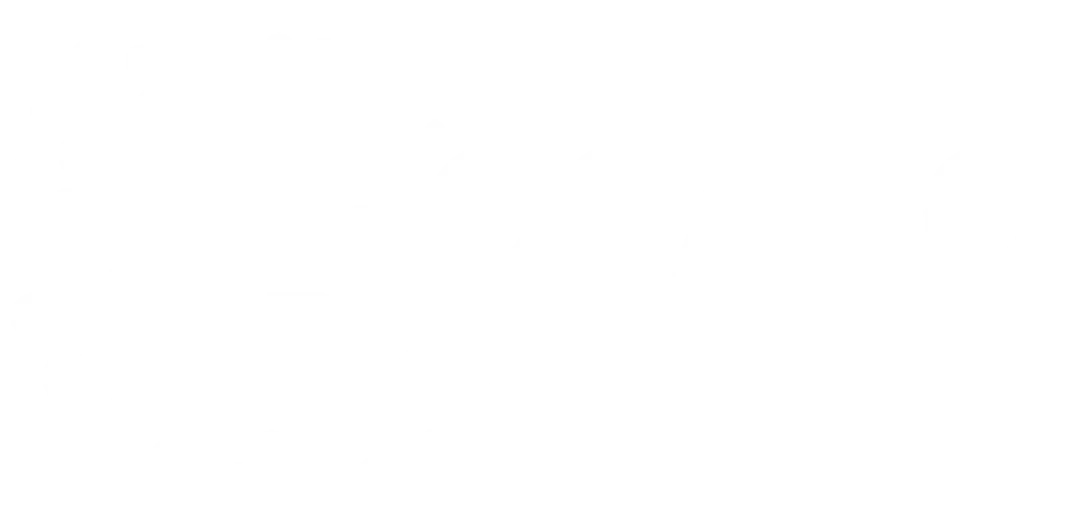 Logo Prosaro Pro