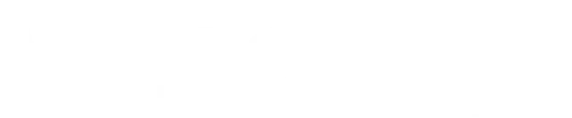 Logo Velocity m3
