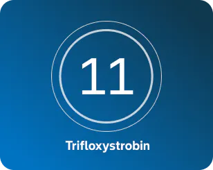 A blue background with a white number 11 centered inside two concentric circles, and the word 'Trifloxystrobin’ written below in white text